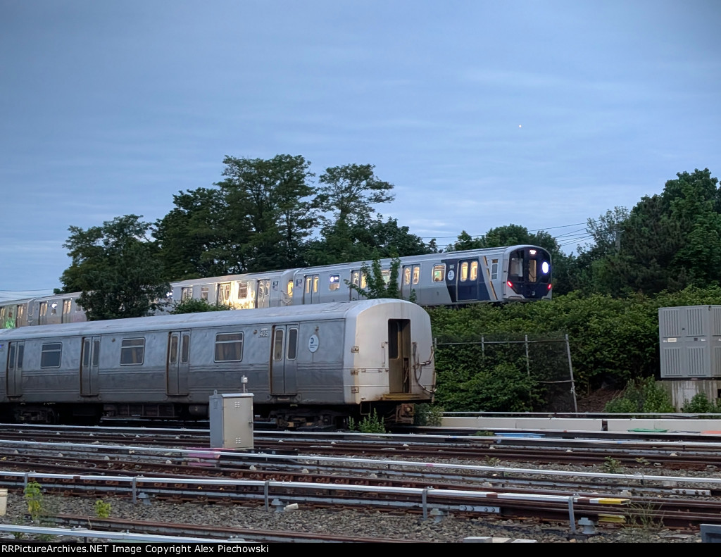 SIRT 135